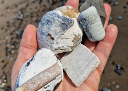 Geologische Strandwanderung